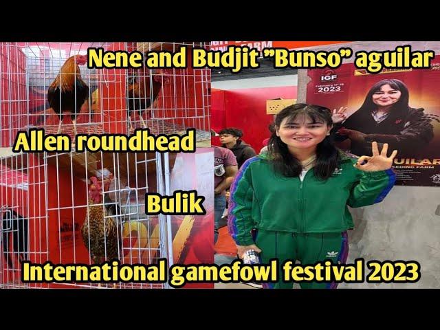 Nene and Budjit "Bunso" Aguilar | Siguradong magaling ang Manok | Allen roundhead | Bulik | IGF 2023