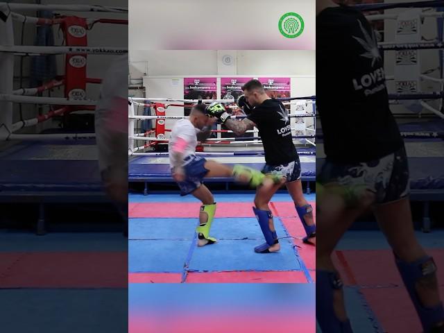 Fast Muay Thai Low Kicks with Liam Harrison