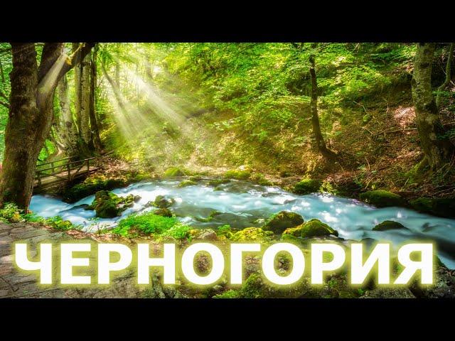 Черногория: Лучшие места - Каньоны рек Тара и Морача - "Ехать Надо?"