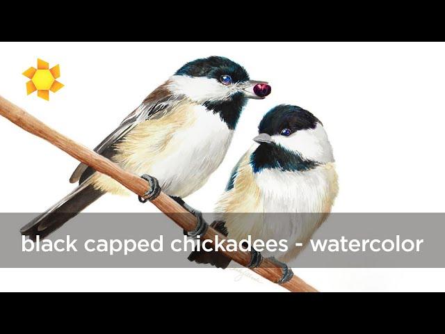 Black Capped Chickadees Watercolor