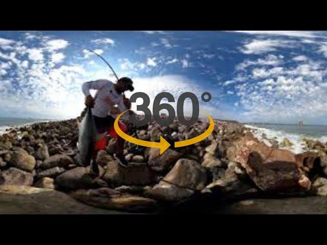 PESCADOR PESCANDO GRAN PEZ  / Pesca superficial video  360