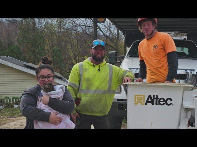 Tree service employee rescues cat stuck in Muscatine tree