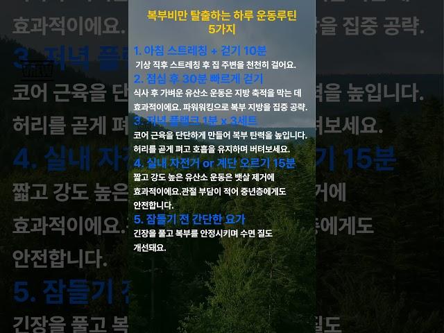 복부비만 탈출하는 하루 운동루틴 5가지 #명언 #건강한중년