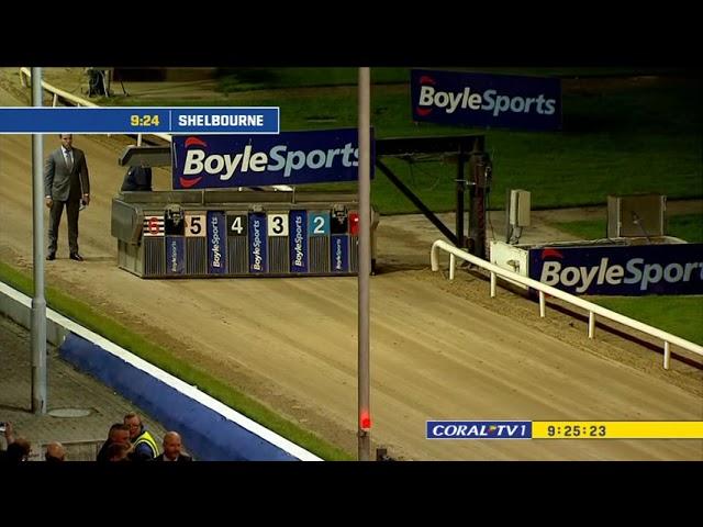 Irish Greyhound Derby Final 2022