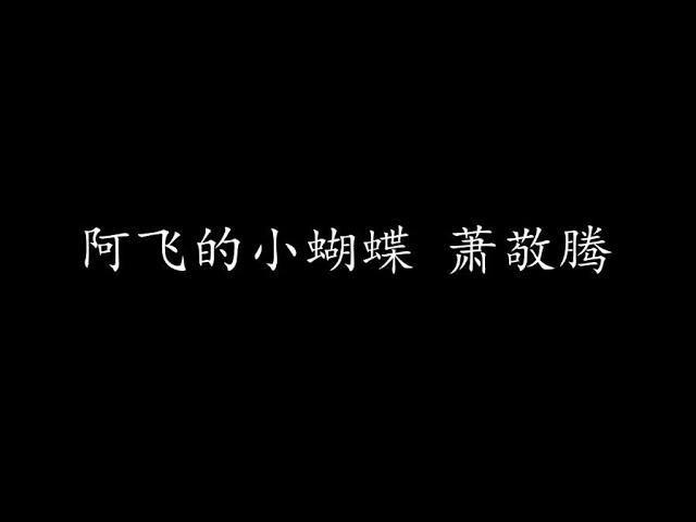 阿飞的小蝴蝶 萧敬腾 (歌词版)