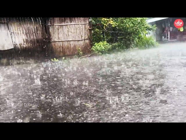 Walking in the Heavy Rain through Villages with Soothing Rain Sounds