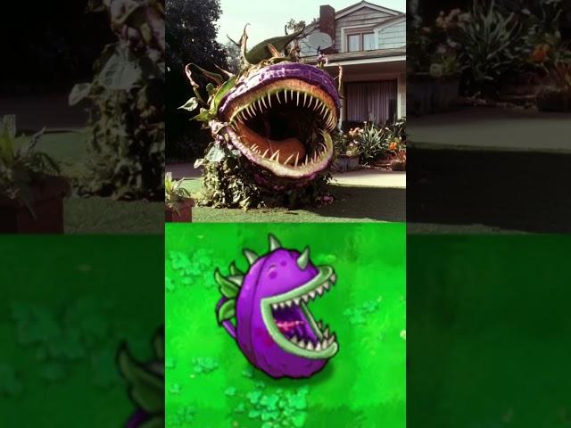 PVZ Plants in real life #plantsvszombies #funnyshorts #pvz #gaming #funnymoments