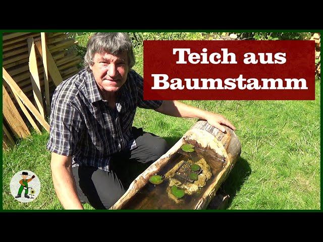 Gartenteich aus Baumstamm - Biotop im Garten