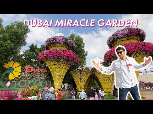 World's Largest Natural Flower Garden 2023: Dubai Miracle Garden | Facts & Opening Date