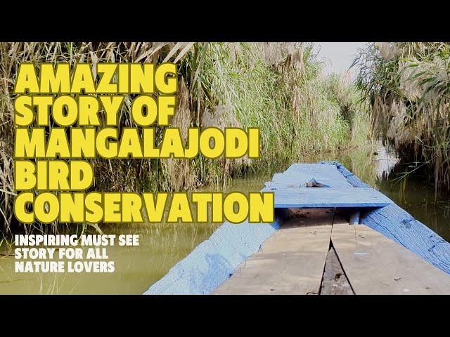 Bird Poachers to Protectors | Transformational Story of Mangalajodi in Chilika Lake, Odisha