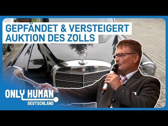 Der Zoll versteigert beschlagnahmte Gegenstände | Doku Re-Upload | Only Human Deutschland