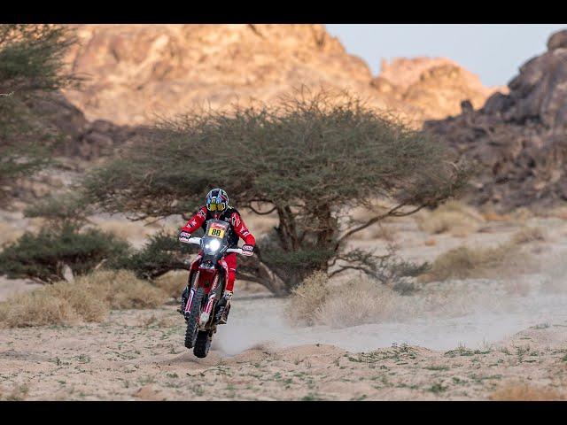 Dakar Rally 2021 - stage 11