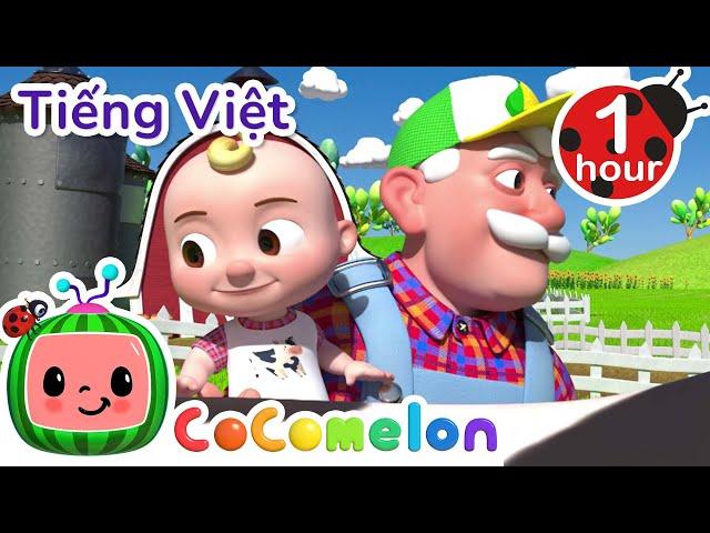 Ông MacDonald | CoComelon Tiếng Việt | Nhạc cho Trẻ em | Bài hát Ru ngủ