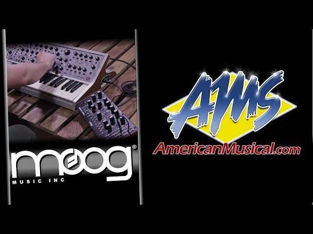 Moog Subsequent 37 CV Assignable CV and Gate outputs Demo - Moog Subsequent 37 CV Analog Synthesizer