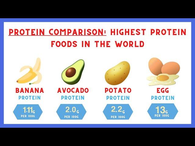 Foods Protein Comparison | Top 50 Protein Foods name in English with Pictures