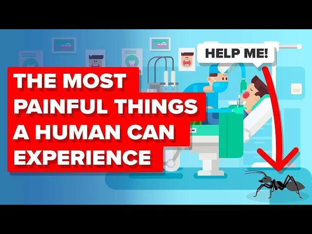 Most Painful Things A Human Can Experience And More Insane Pain Facts (Compilation)