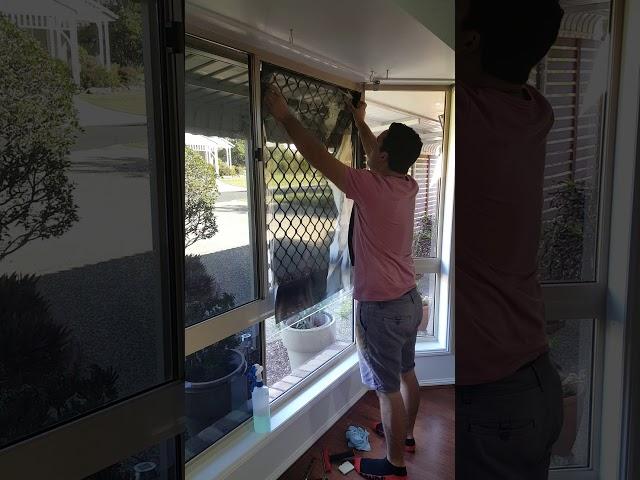 Matt Bull Window Tinting - Domestic