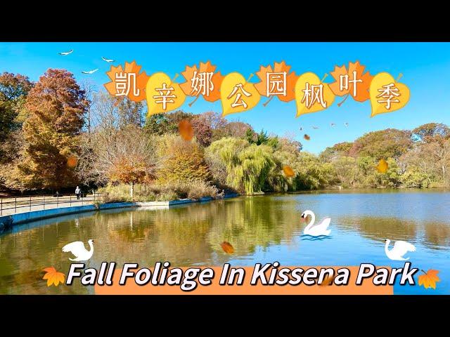 凱辛娜公园赏枫季 Fall Foliage in Kissena Park