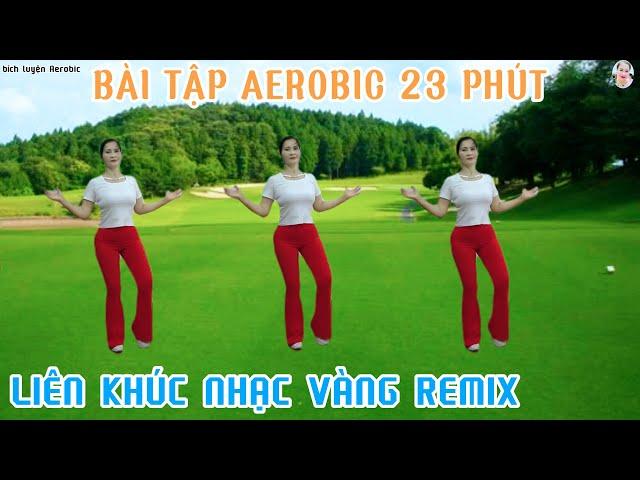 BÀI TẬP 23 PHÚT AEROBIC TRUNG NIÊN - LIÊN KHÚC NHẠC VÀNG REMIX HAY | TẬP LUÔN THÔI!!!// Bích Luyện