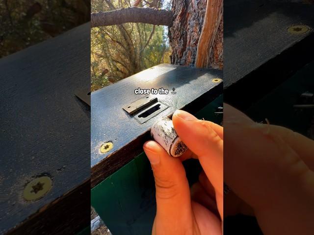 How long would it take YOU to figure out how to *unlock* this 4.0 Difficulty geocache? 
