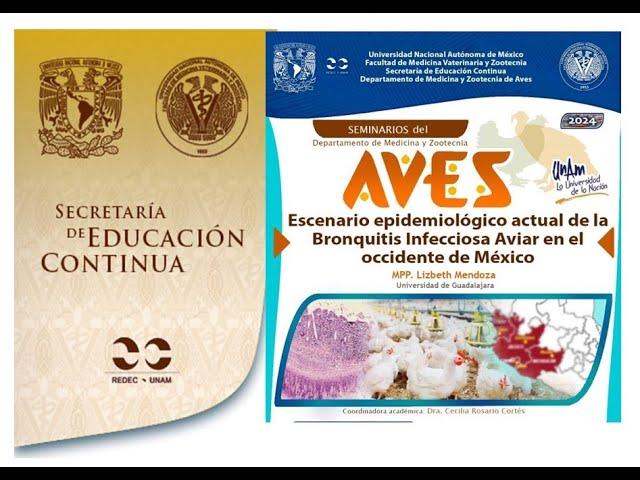 Escenario epidemiológico actual de la Bronquitis Infecciosa Aviar en el occidente de México