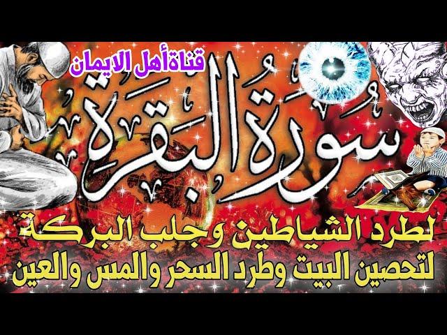 سورة البقرة كاملة مكررة لطرد الشياطين والجن والسحر والحسد وجلب الرزق والبركة والتحصين surat albaqara