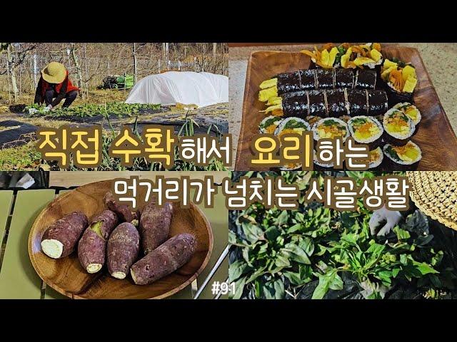 sub)making Korean dishes using vegetables in the country garden. kimbab, fish cake soup, soy milk