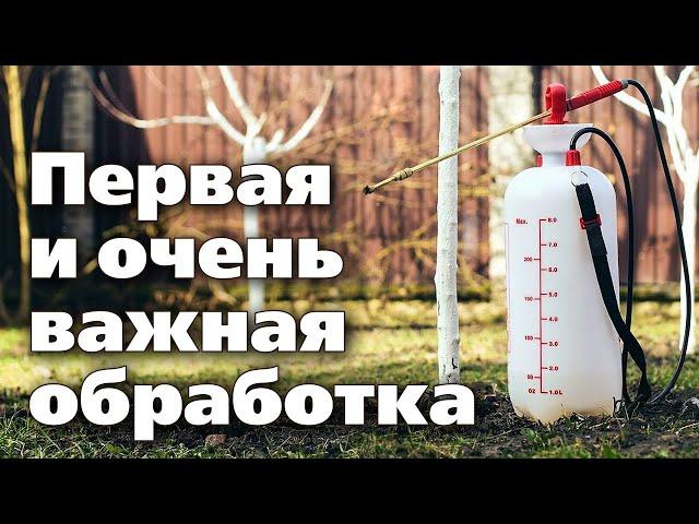 ОБРАБОТКА САДА РАННЕЙ ВЕСНОЙ. Мощный удар по вредителям и болезням