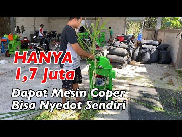 Hanya 1.7 Juta Dapat Mesin Coper Rumput - Uji Coba mesin cacah rumput harga ekonomis