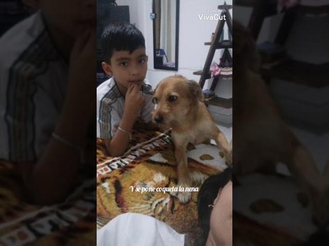 Mi perrito️