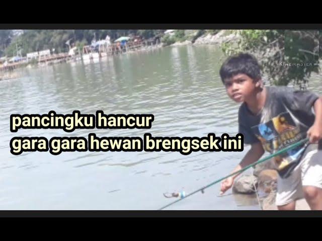 sumpah .. kapok aku  mancing di sini // momen lucu saat mancing