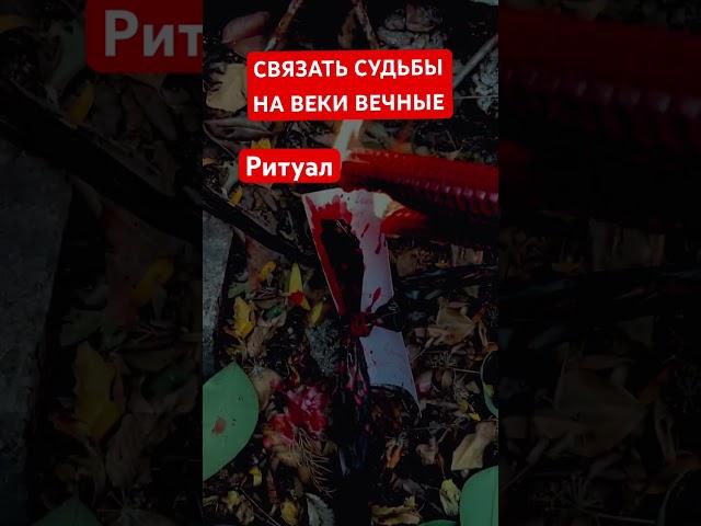 ПРИВОРОТСВЯЗАТЬ СУДЬБЫ ВМЕСТЕ️РИТУАЛ