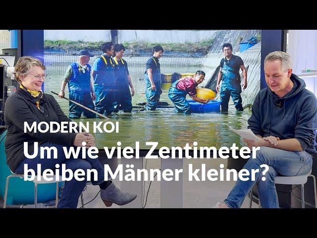 Wie groß werden moderne Koimänner? | Modern Koi Blog #7096