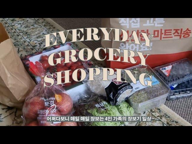 홈플러스 마트직송 & 트레이더스 홀세일클럽 | 매일 장보는 4인 가족 일상 장바구니 브이로그  Grocery Shopping with Korean Family of four