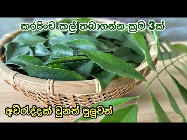 කරපිංච කල් තියාගන්න ක්‍රම 3ක් | how to store curry leaves fresh | Maali’s kitchen jp