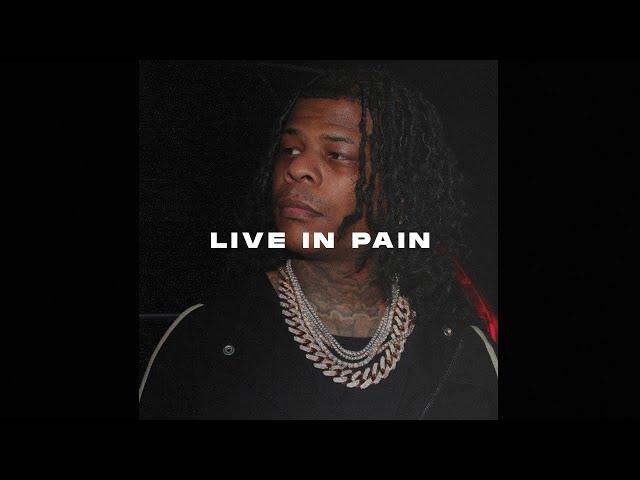 [FREE] Rylo Rodriguez Type Beat 2023 - "Live in Pain"