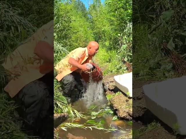 Best Unique Fish Trap Using PVC And Net Basket To Catch A Lot of Fish#shorts #viral #fishing