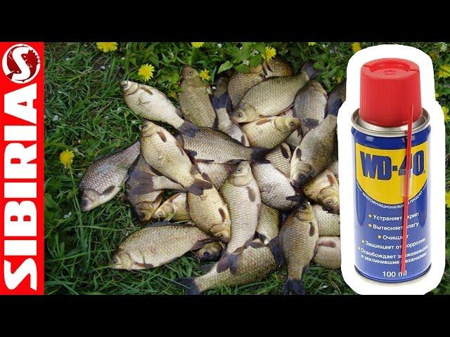 Secret decoy with WD-40. Recipe Monkey for fishing hunting. Super head