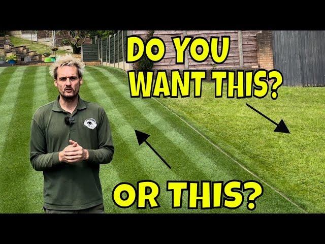 A 4 STEP  Lawn Maintenance Plan/ Where you are GOING WRONG with Watering