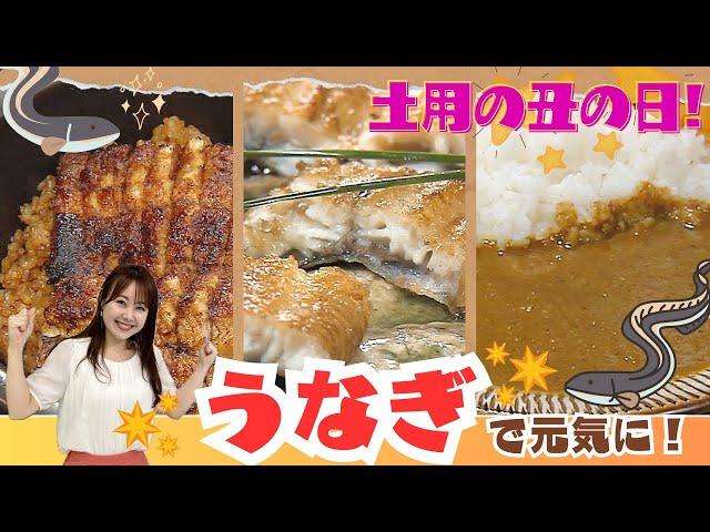 「うなぎ特集」~MieライブGourmet~