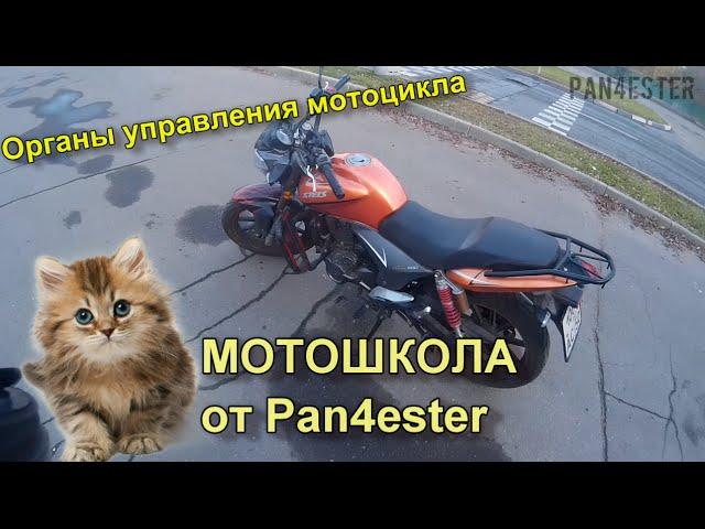 Управление мотоциклом / Органы управления мотоцикла / Мотошкола для новичков