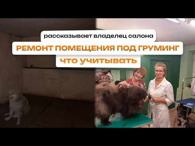 Ремонт под груминг салон ️ Что учитывать, открывая салон для животных - Советы владельца салона