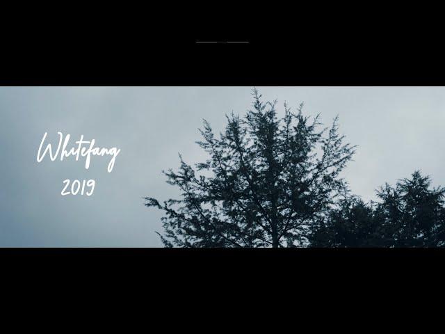 WhiteFang - 2019 (Official Video)