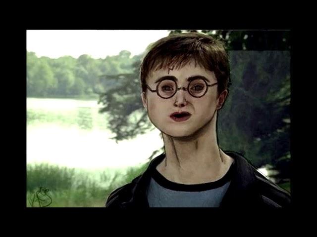 FLAUTA BUGADA DO Harry Potter