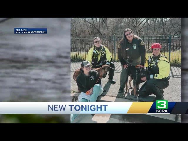 Sacramento County dog rescued from rising water now faces euthanasia