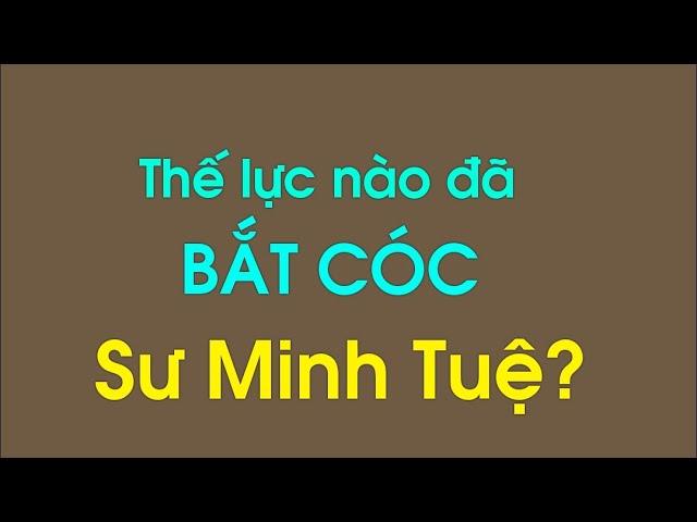 Thông tin khẩn về  thầy Thích Minh Tuệ  #thichminhtue #thichchanquang