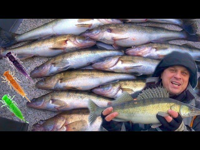 Рыбалка от Михалыча! Ищем хищника на большой воде! Трудовая ловля судака зимой на спиннинг