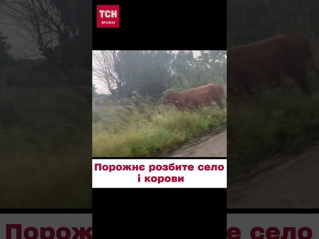  Розбитим селом ходять лише корови