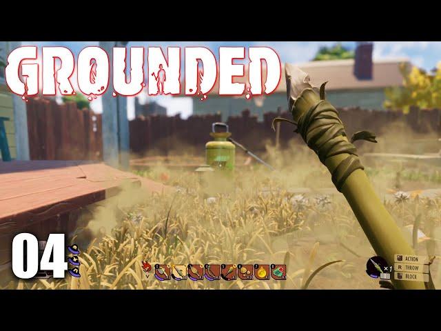 EXPLORING THE YARD - GROUNDED CO-OP