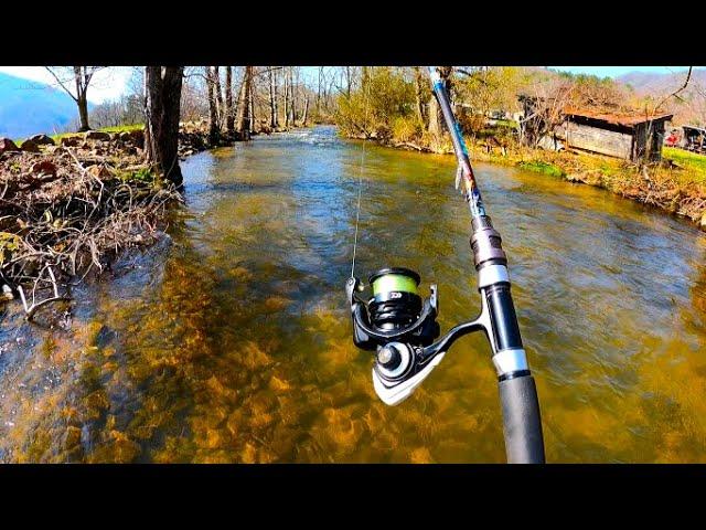 Trout Fishing with Jerkbaits, Inline Spinner's *browns, rainbows *